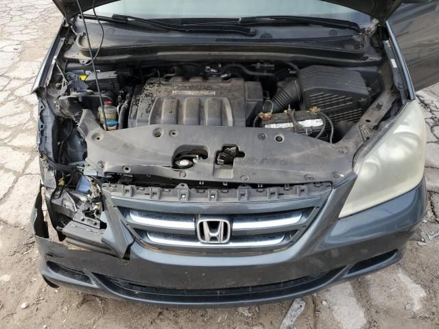 2005 Honda Odyssey EXL