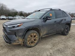 Toyota salvage cars for sale: 2024 Toyota Rav4 XSE