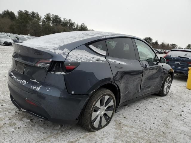 2020 Tesla Model Y