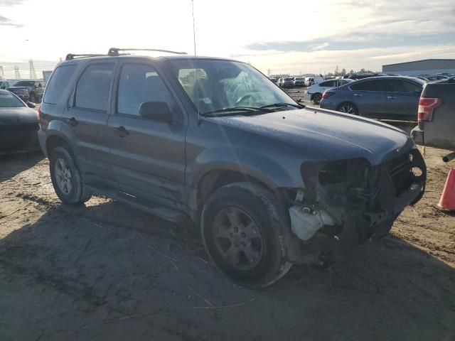 2005 Ford Escape XLT