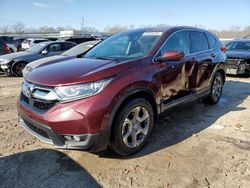 Salvage cars for sale at Louisville, KY auction: 2019 Honda CR-V EXL