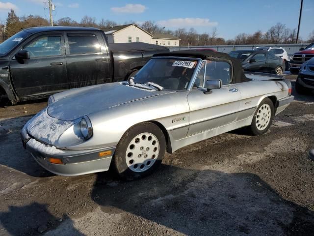 1986 Alfa Romeo Veloce 2000 Spider