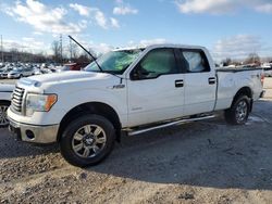 2011 Ford F150 Supercrew en venta en Lawrenceburg, KY