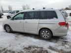 2008 Honda Odyssey EX