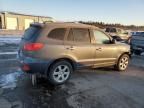 2009 Hyundai Santa FE SE