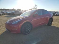 Salvage cars for sale at American Canyon, CA auction: 2023 Tesla Model Y