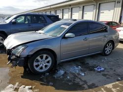 Nissan salvage cars for sale: 2008 Nissan Maxima SE