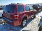 2008 Ford Escape XLT