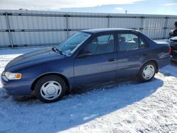 Vehiculos salvage en venta de Copart Fredericksburg, VA: 2000 Toyota Corolla VE