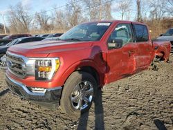 Ford salvage cars for sale: 2023 Ford F150 Supercrew