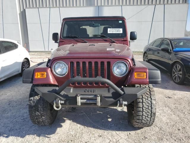 2004 Jeep Wrangler / TJ Sahara