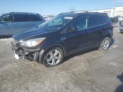 Salvage cars for sale at Kansas City, KS auction: 2013 Ford Escape SE