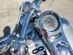 2000 Harley-Davidson Fxstd