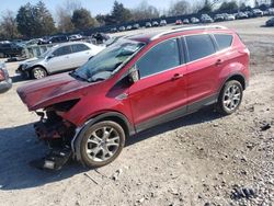 Salvage cars for sale from Copart Madisonville, TN: 2014 Ford Escape Titanium