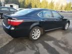 2009 Lexus LS 460