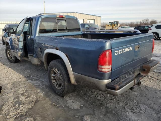 2002 Dodge Dakota SLT