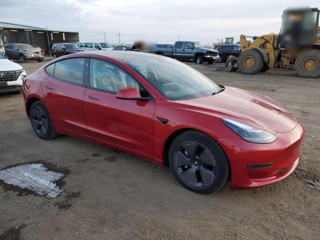 2021 Tesla Model 3