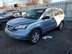 Vehiculos salvage en venta de Copart New Britain, CT: 2010 Honda CR-V EX