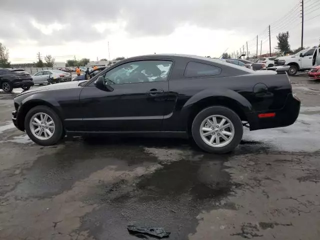 2005 Ford Mustang