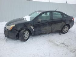 Salvage cars for sale at auction: 2008 Ford Focus SE