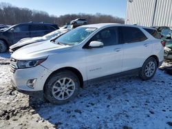 Salvage cars for sale at Windsor, NJ auction: 2019 Chevrolet Equinox LT