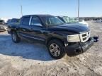 2008 Dodge Dakota SXT