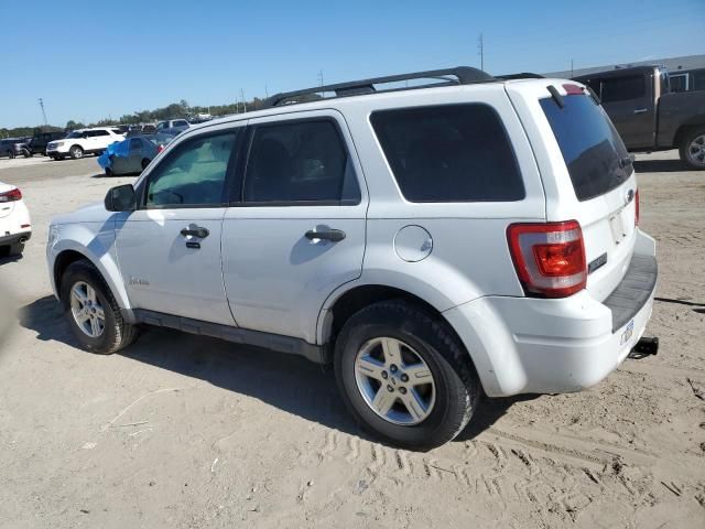 2012 Ford Escape Hybrid