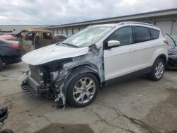 Salvage cars for sale at Louisville, KY auction: 2016 Ford Escape Titanium