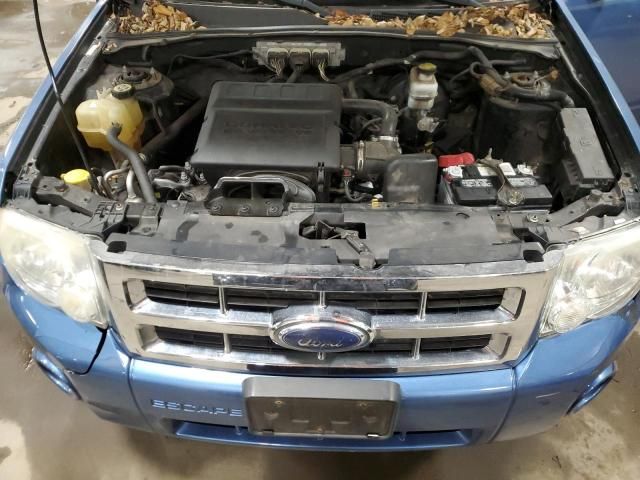 2009 Ford Escape XLT