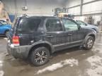 2007 Ford Escape XLT