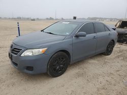 Toyota salvage cars for sale: 2010 Toyota Camry Base