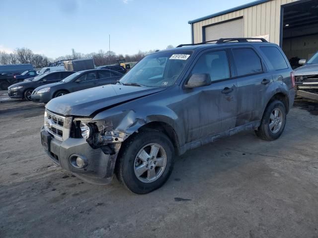 2012 Ford Escape XLT