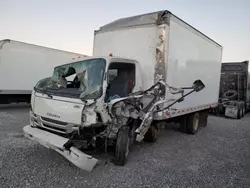 Salvage trucks for sale at North Las Vegas, NV auction: 2024 Isuzu NPR XD