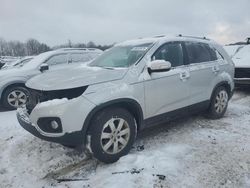 Salvage cars for sale at Duryea, PA auction: 2012 KIA Sorento Base