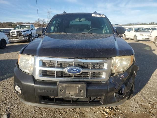 2011 Ford Escape XLT