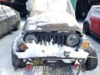 2005 Jeep Wrangler / TJ Sport