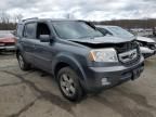 2011 Honda Pilot EXL