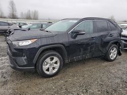 Salvage cars for sale at Arlington, WA auction: 2020 Toyota Rav4 XLE