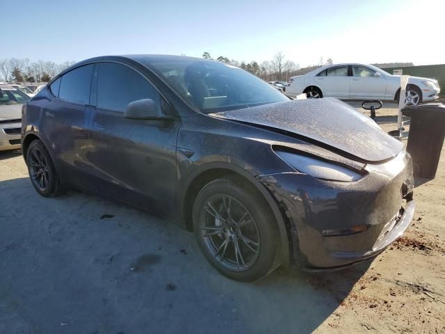 2025 Tesla Model Y