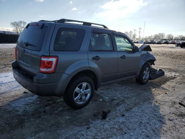 2009 Ford Escape XLT