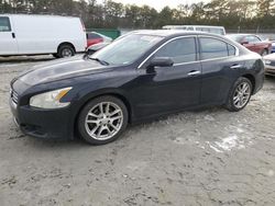 Nissan Maxima salvage cars for sale: 2014 Nissan Maxima S