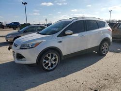 Salvage cars for sale at Indianapolis, IN auction: 2013 Ford Escape Titanium