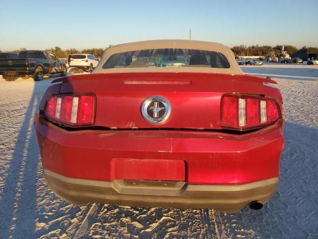 2010 Ford Mustang