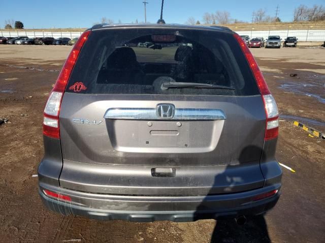 2010 Honda CR-V EXL