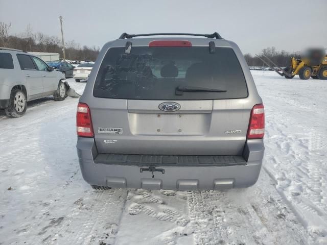 2008 Ford Escape XLT