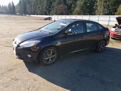 Salvage cars for sale at Arlington, WA auction: 2013 Ford Focus SE