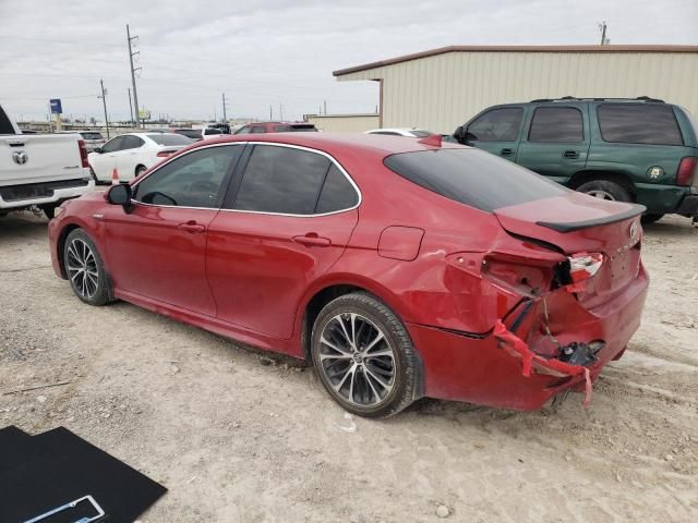 2019 Toyota Camry Hybrid