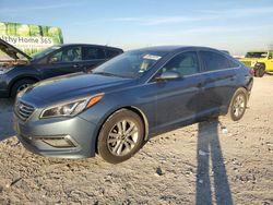 2015 Hyundai Sonata SE en venta en Haslet, TX