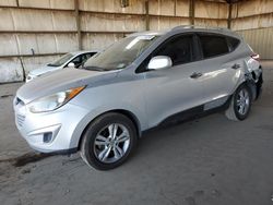 Salvage cars for sale from Copart Phoenix, AZ: 2010 Hyundai Tucson GLS