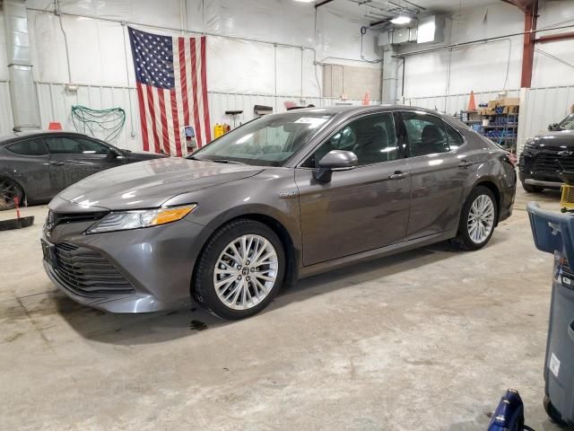 2019 Toyota Camry Hybrid